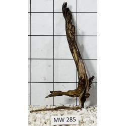 Mangrovewood 285
