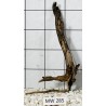 Mangrovewood 285
