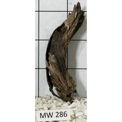 Mangrovewood 286