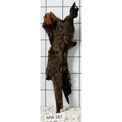 Mangrovewood 287