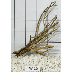 Talawa wood 15