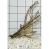 Talawa wood 15