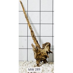 Mangrovewood 289