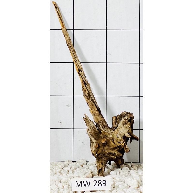 Mangrovewood 289
