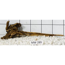 Mangrovewood 289