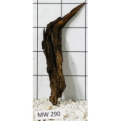 Mangrovewood 290