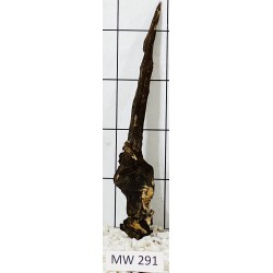 Mangrovewood 291