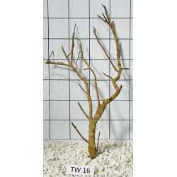 Talawa wood 16