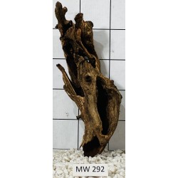 Mangrovewood 292