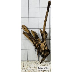Mangrovewood 293