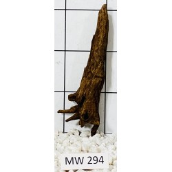 Mangrovewood 294