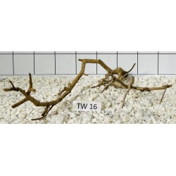 Talawa wood 16