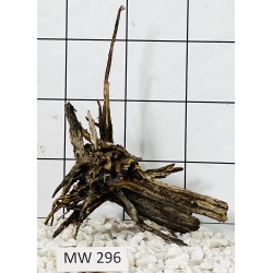 Mangrovewood 296