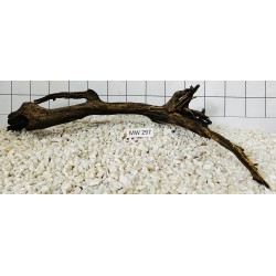 Mangrovewood 297