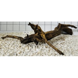 Mangrovewood 297