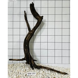 Mangrovewood 297