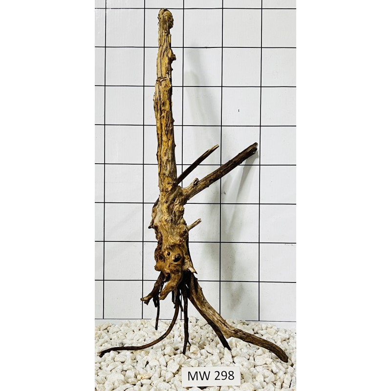 Mangrovewood 298