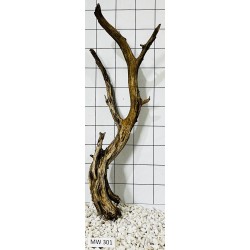 Mangrovewood 301