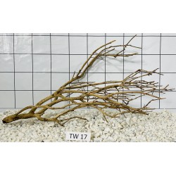 Talawa wood 17