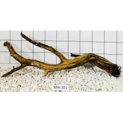 Mangrovewood 301