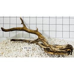 Mangrovewood 301