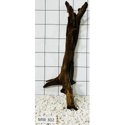 Mangrovewood 302