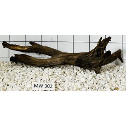 Mangrovewood 302