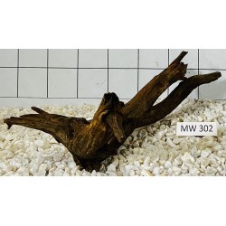 Mangrovewood 302