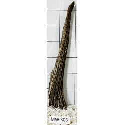 Mangrovewood 303