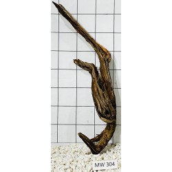 Mangrovewood 304