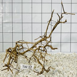 Talawa wood 17
