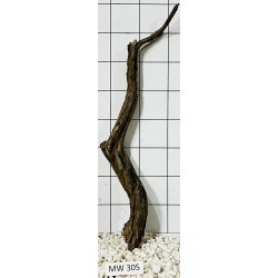Mangrovewood 305