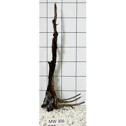 Mangrovewood 306