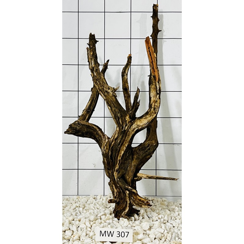 Mangrovewood 307
