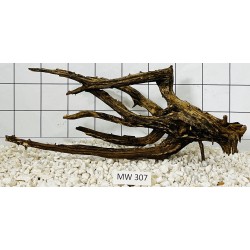 Mangrovewood 307
