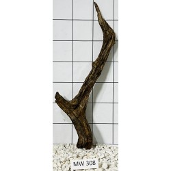 Mangrovewood 308