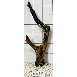 Mangrovewood 311