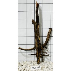 Mangrovewood 312