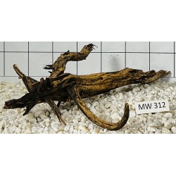 Mangrovewood 312