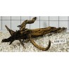 Mangrovewood 312