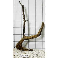Mangrovewood 313