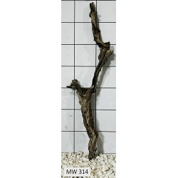 Mangrovewood 314
