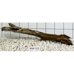 Mangrovewood 315