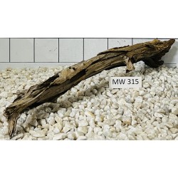 Mangrovewood 315
