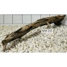 Mangrovewood 315