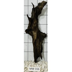 Mangrovewood 316