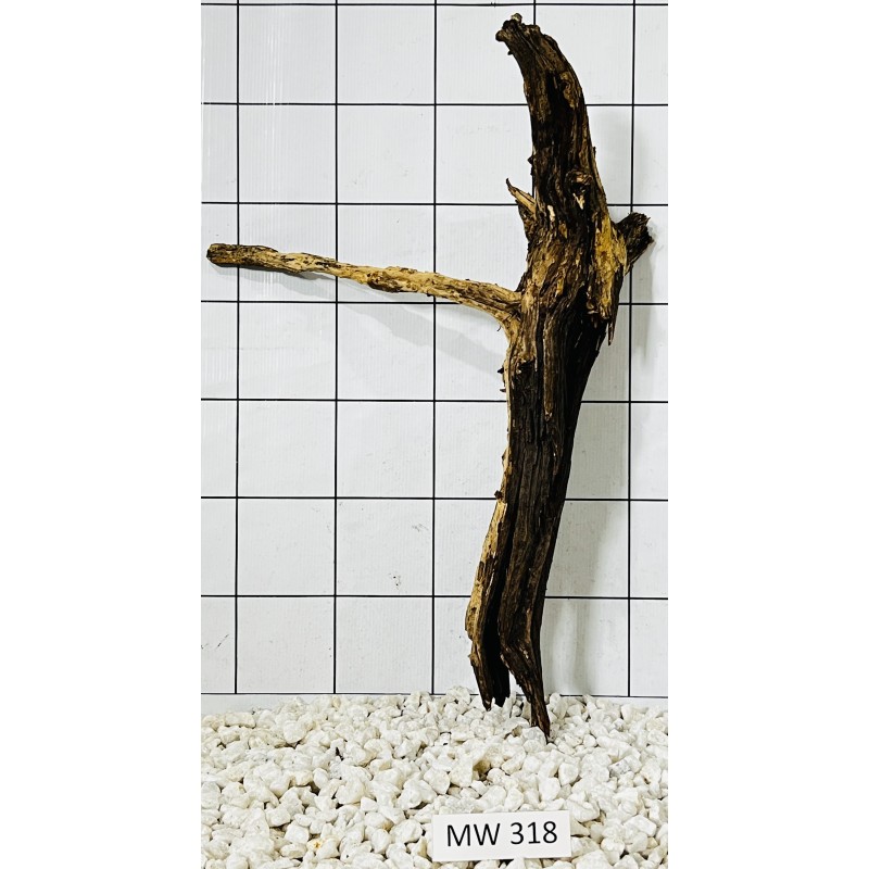 Mangrovewood 318