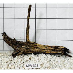 Mangrovewood 318
