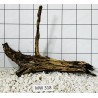 Mangrovewood 318