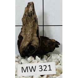 Mangrovewood 321